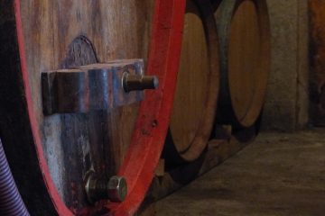 cave ardèche philippe michelas dégustation vin fût chêne